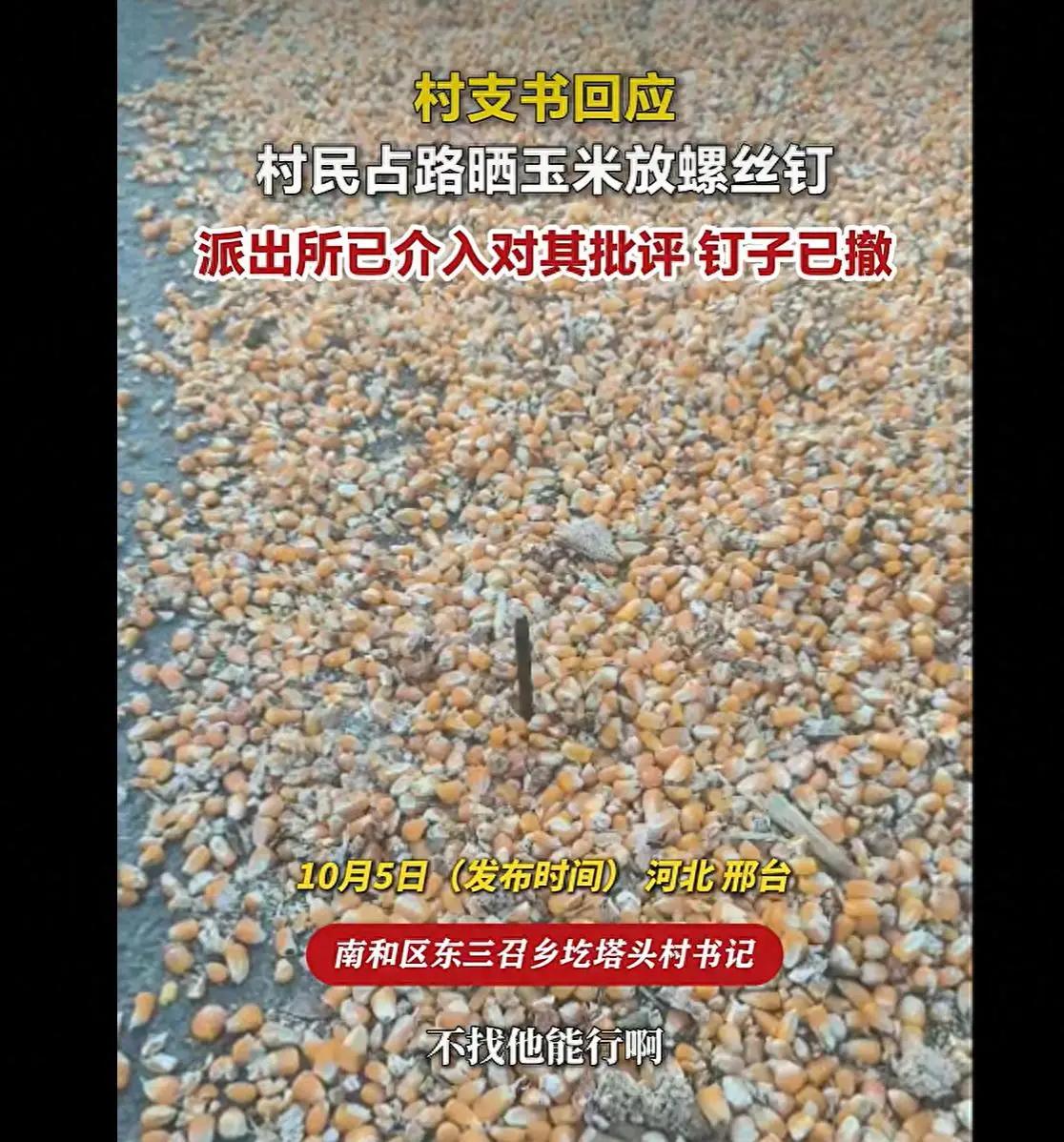 太恶劣了！河北邢台，一村民在路上晾晒玉米，占路不说，他还把螺丝钉竖立着放进了玉米