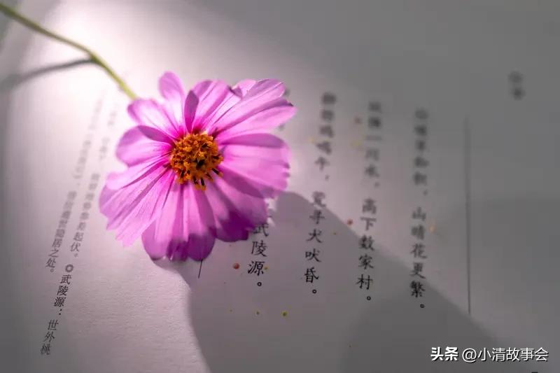 我记得最深的古诗词是李白的《黄鹤楼送孟浩然之广陵》。“故人西辞黄鹤楼，烟花三月下