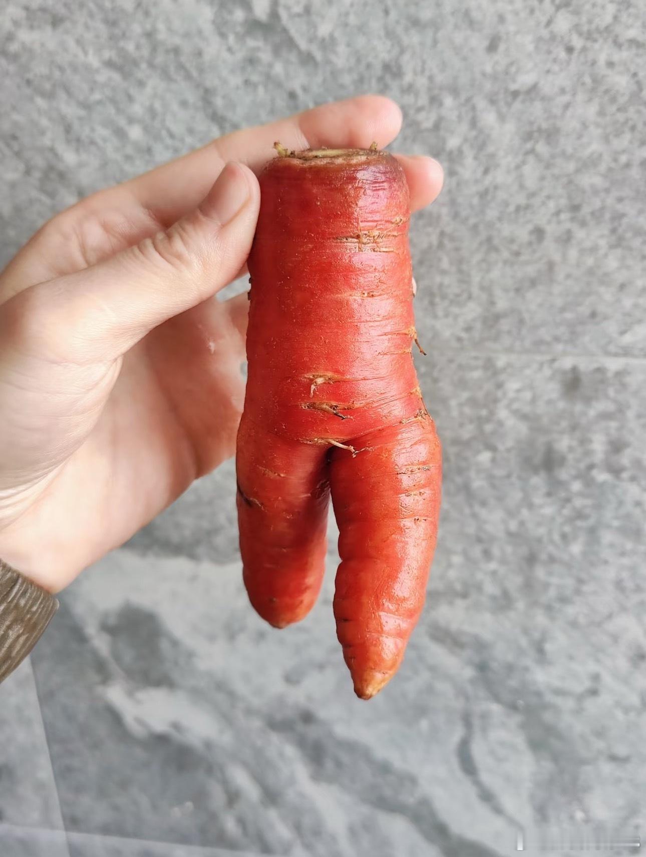 胡萝卜成精了，在练短跑 