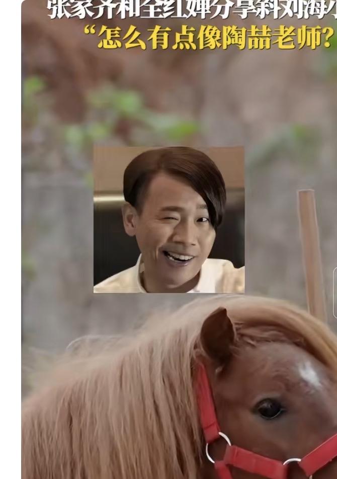 张家齐：婵宝你快看视频！这匹小马的斜刘海绝了，是不是神似陶喆老师？我盯着看了半天