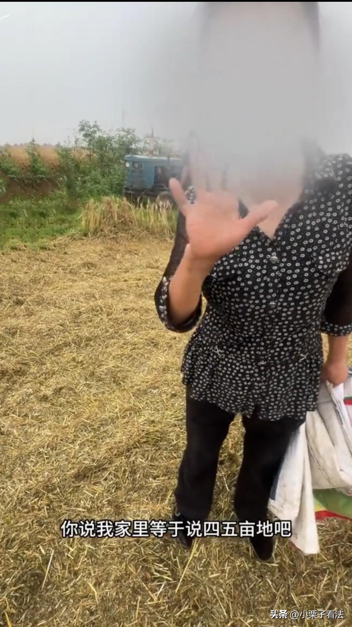 割四赔五！就是耍无赖！湖北襄阳，河南小夫妻跨省驰援抢收小麦，原定100元一亩，5