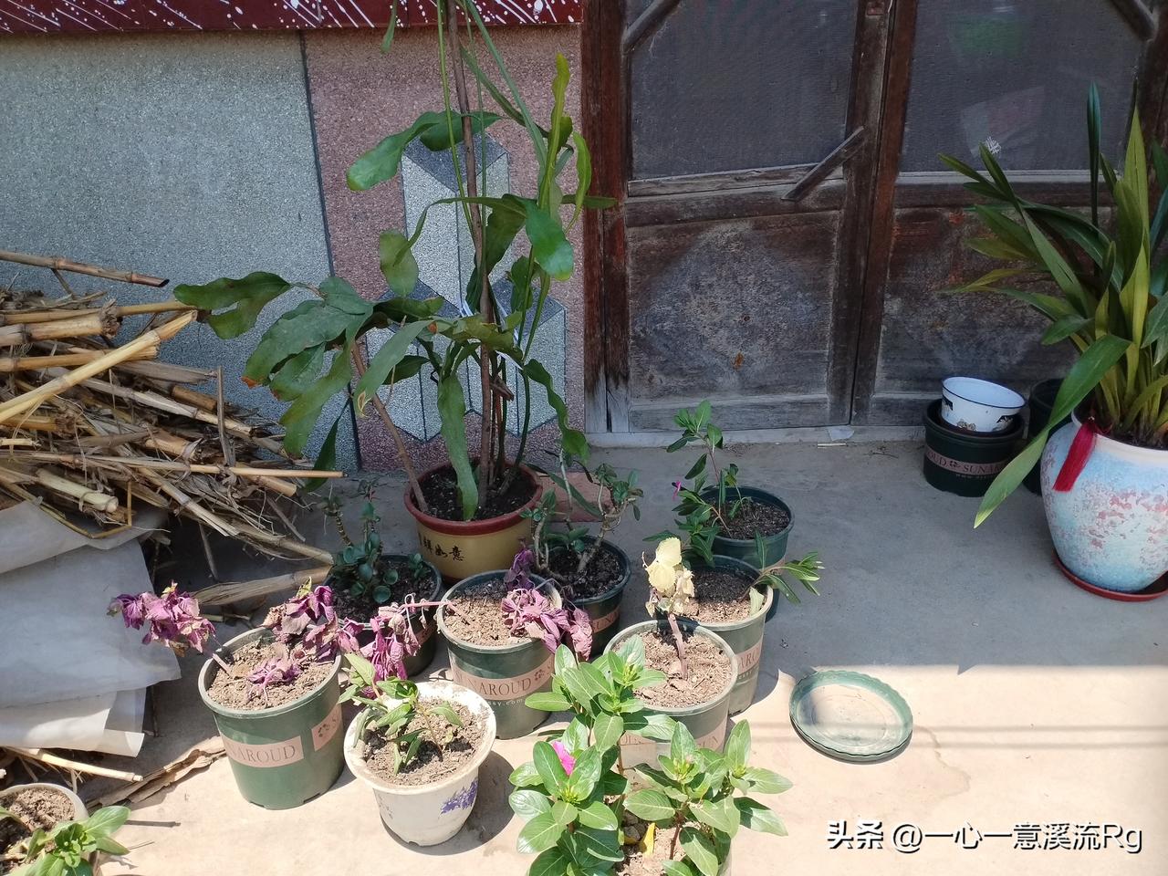 众友友早上好！
今天是6月27日星期六，日出时间4.47分，日落时间7.37分，