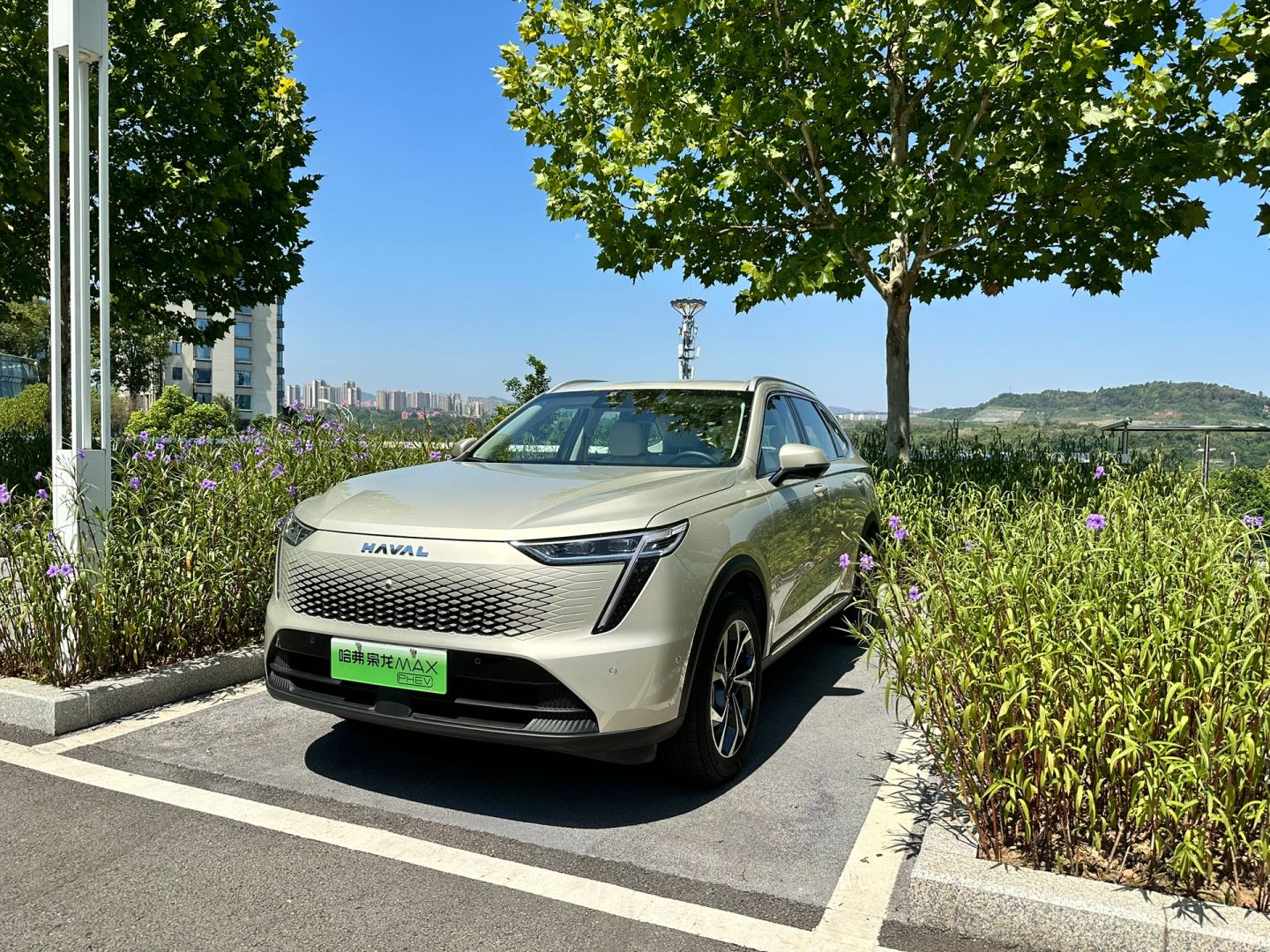 拿辆枭龙MAX开开，在重庆的一家哈弗4S店拿的车
	
这家店在九龙坡区，位置我个...