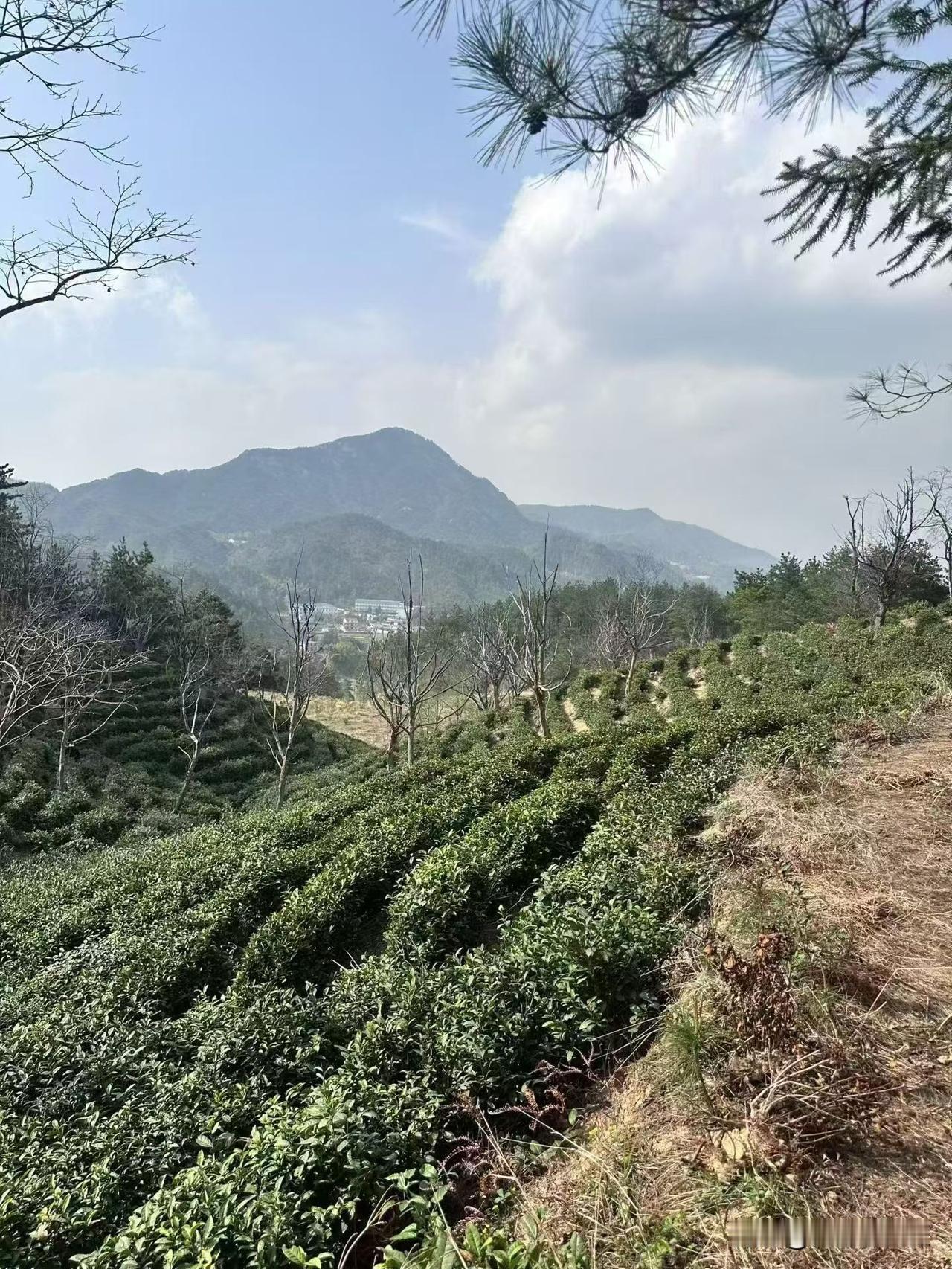 刚做头条那会儿，我特迷信技巧。

今天学个标题公式，明天学个开头模板，后天又学个
