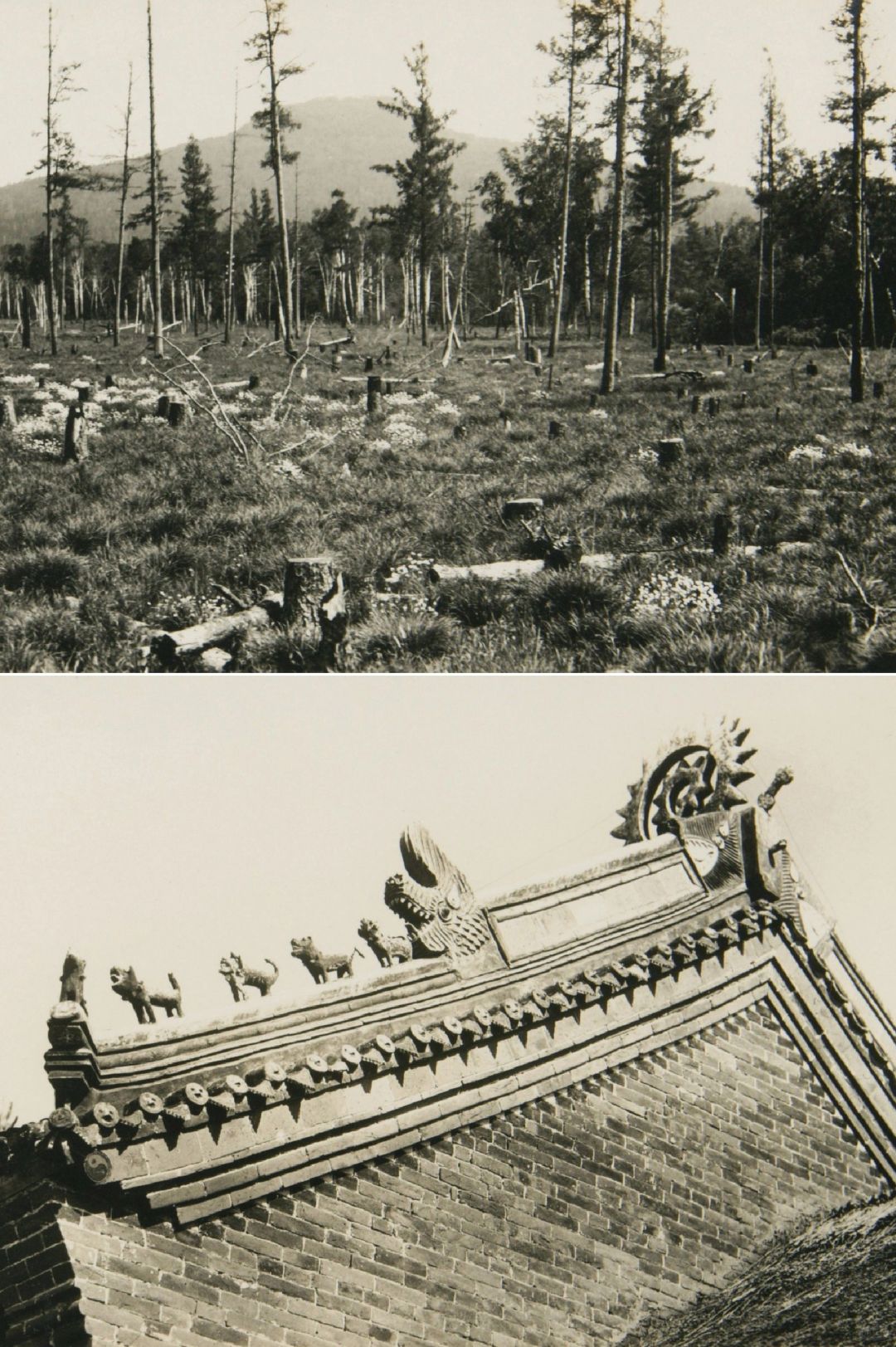 1928年竣工的吉敦线风景：吉林与敦化附近