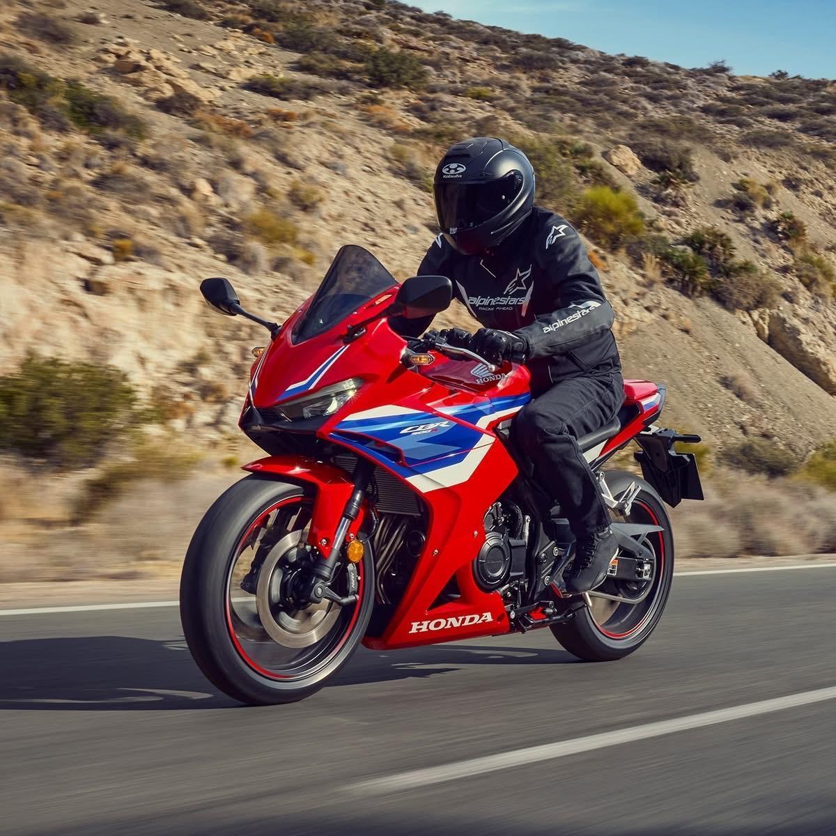 不必追赶别人的脚步，花有花的花期，你有你的节奏，不慌不忙，慢慢生长，自在如风，向