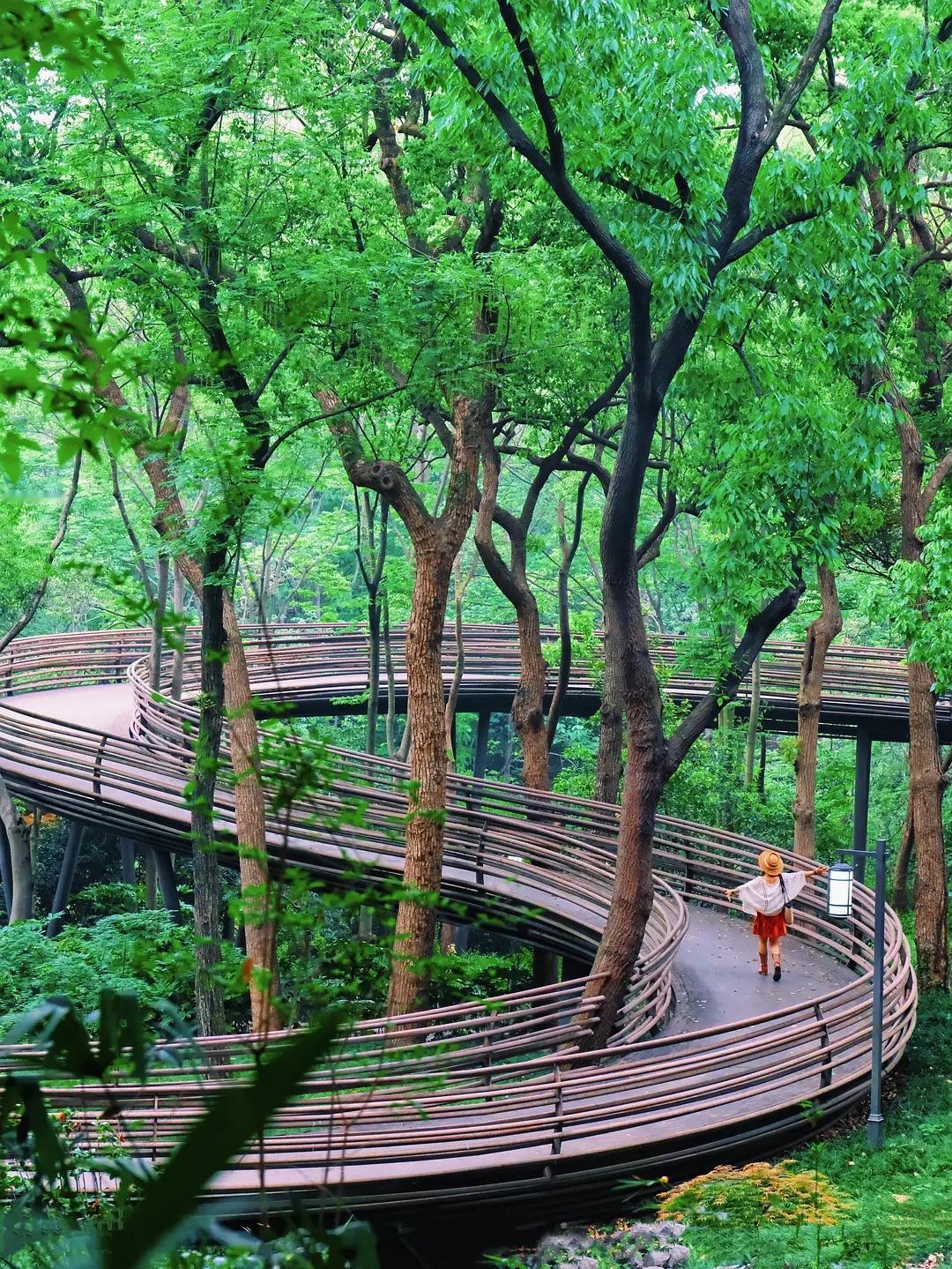 狠狠记住生活中的“心眼“：

1、馄 饨，尽量要少吃。
2、微信步数，一定要关掉