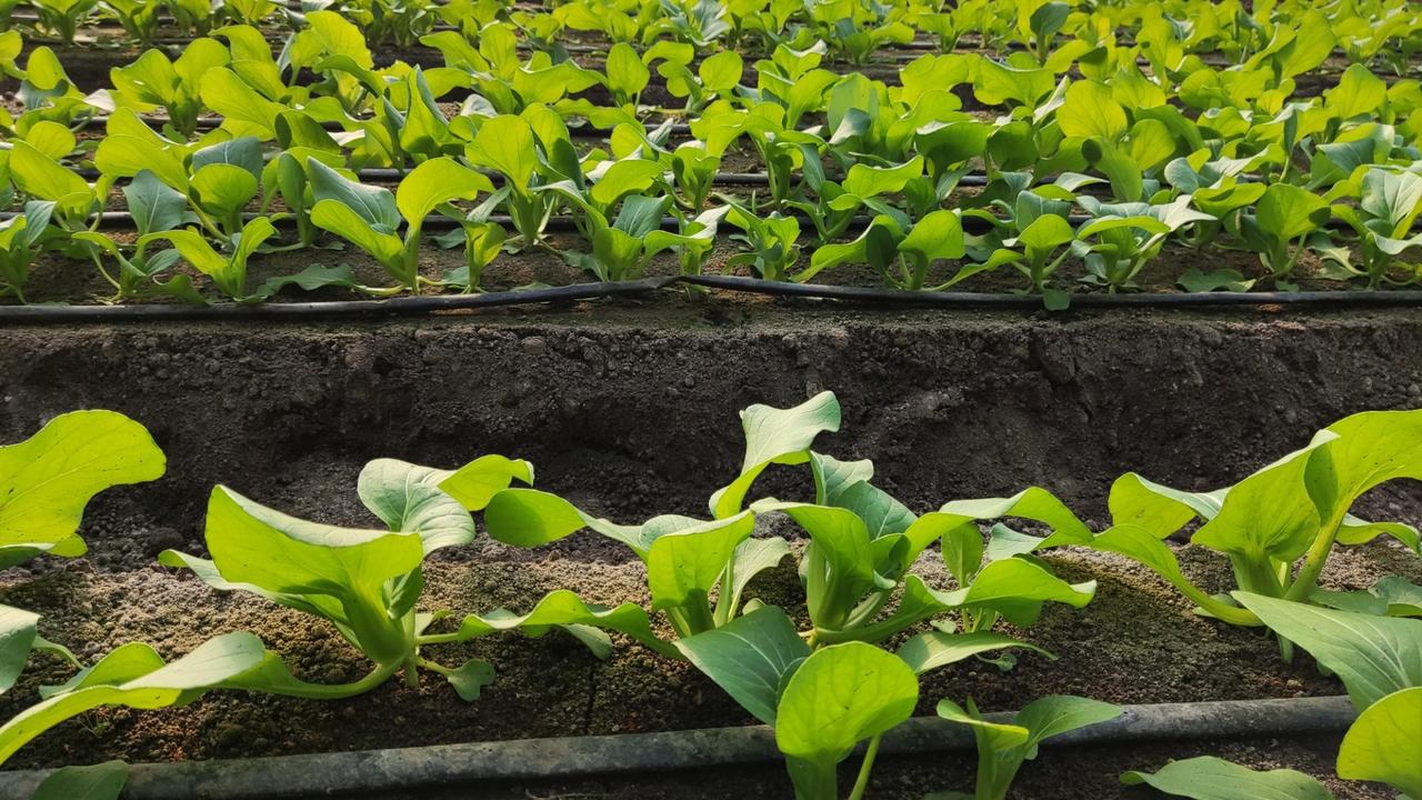 记录我的2026妖娆到好吃～