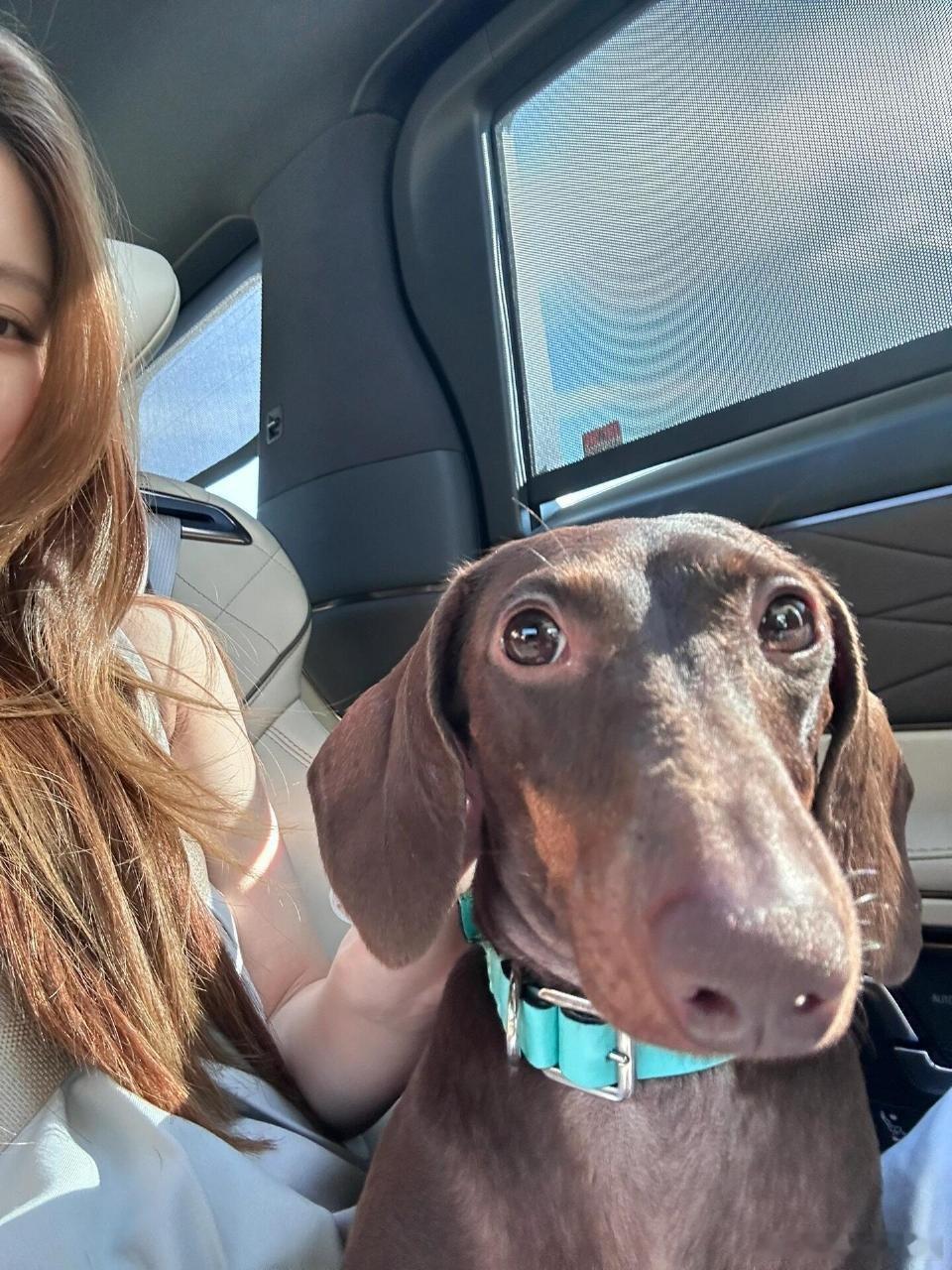 赵露思的狗子[允悲][允悲][允悲]行走的搞笑谁懂 好戳我笑点 ​​​