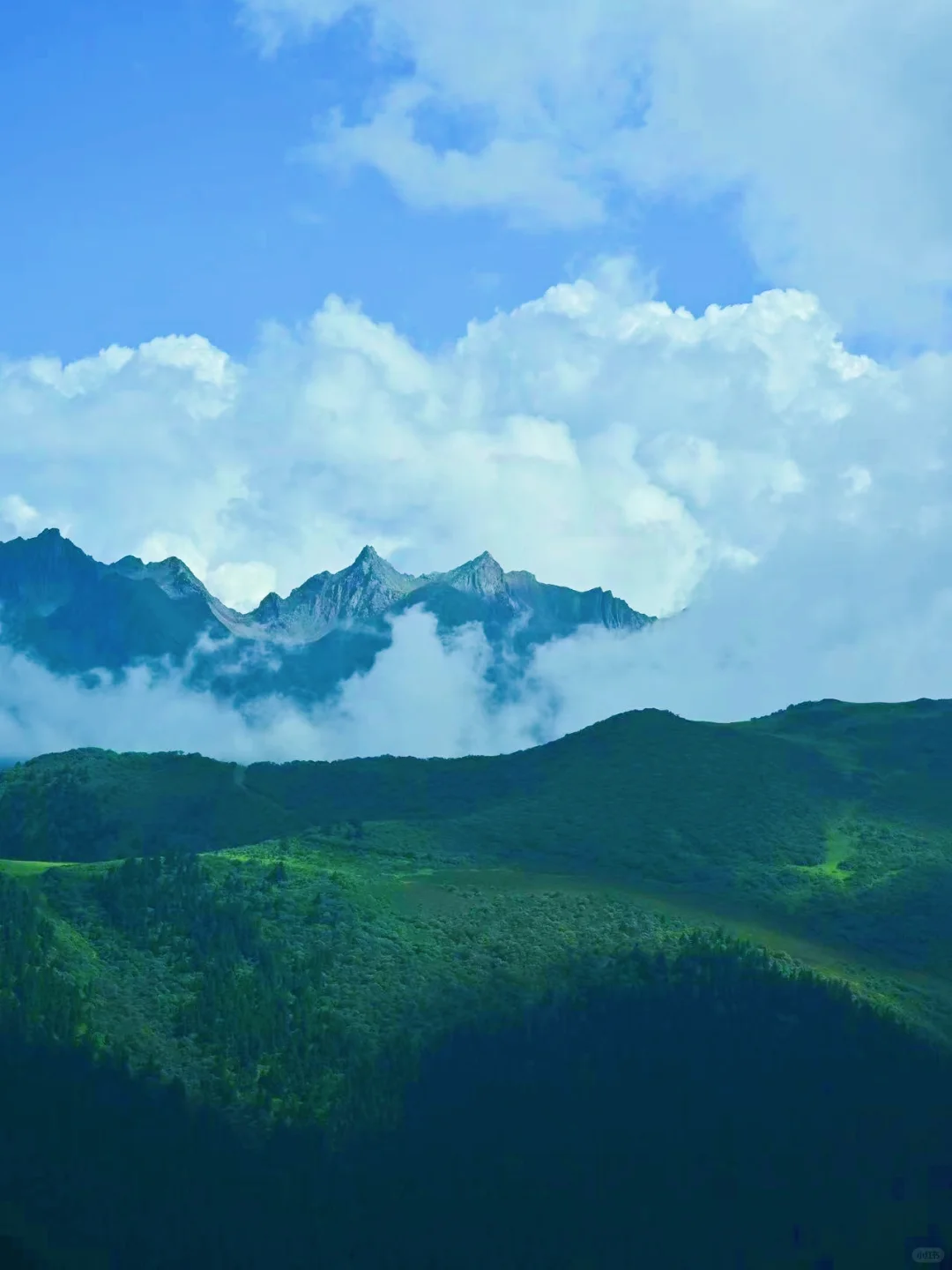 沙坝阴山｜理县又一宝藏徒步圣地