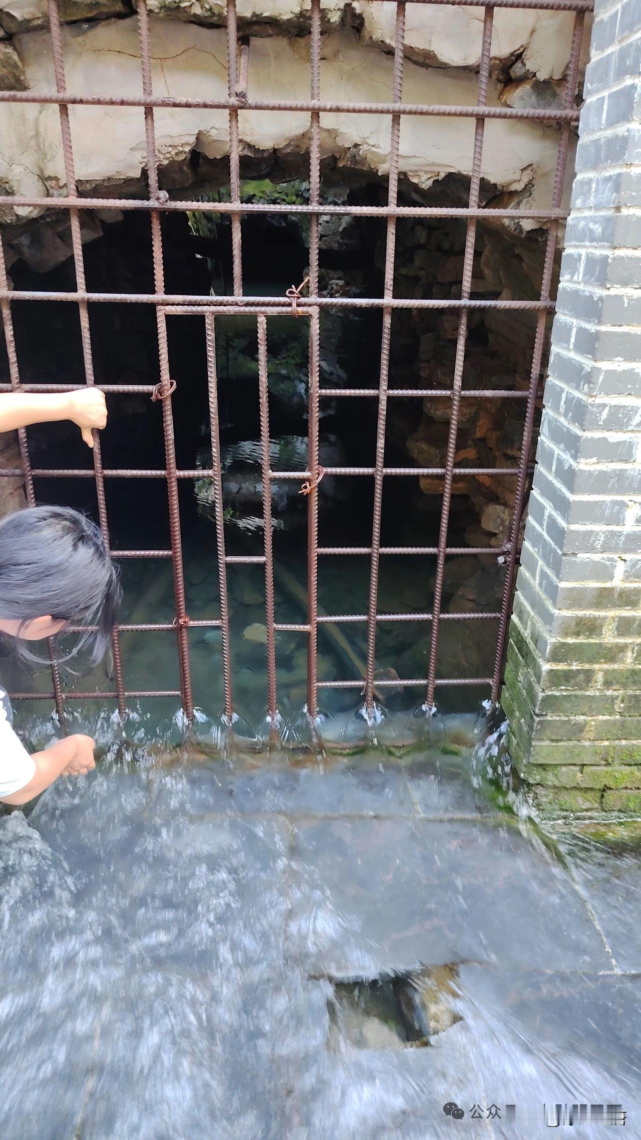 不少朋友心存疑问，作为土生土长的本地人，我不愿弄虚作假。为还原真相，我再度来到泉