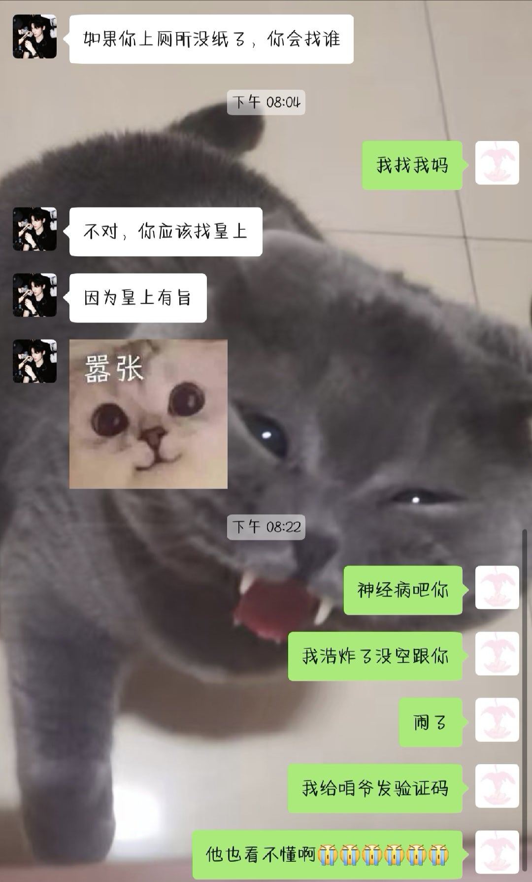我的浩都赖你 