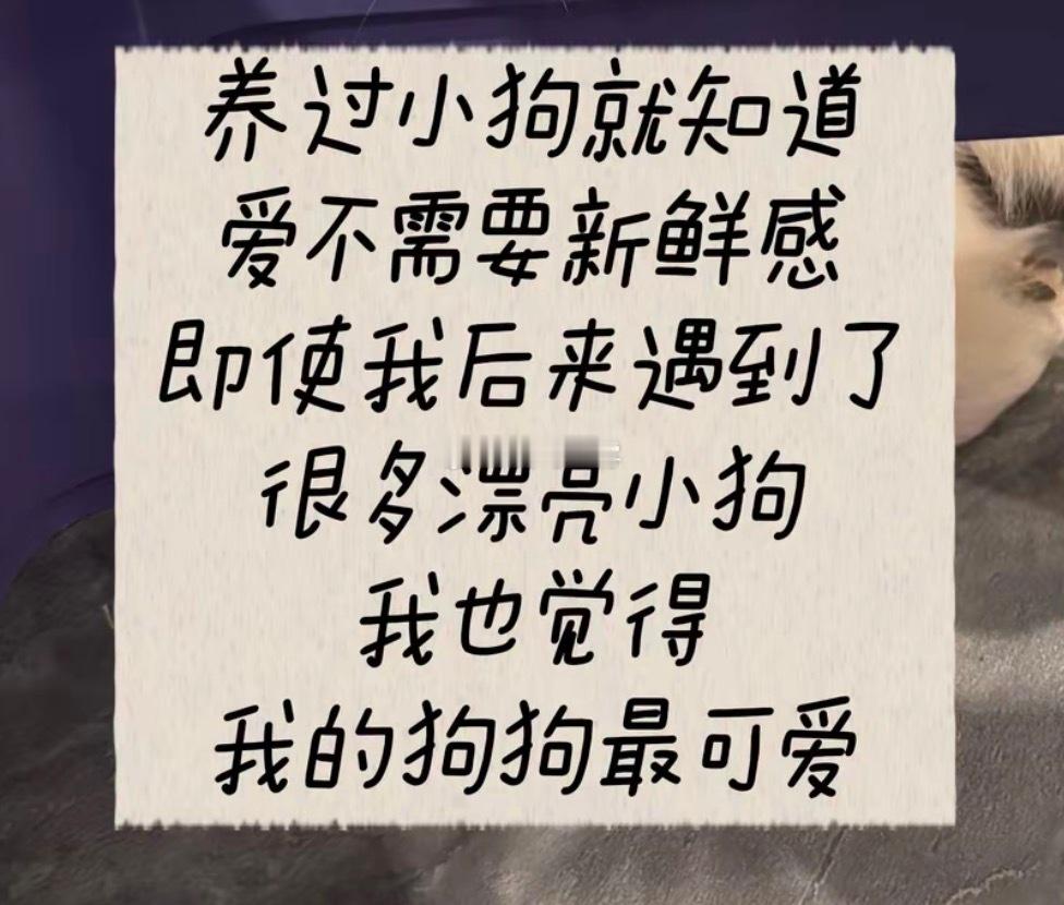顾青裴发朋友圈belike原炀“没错是我” 
