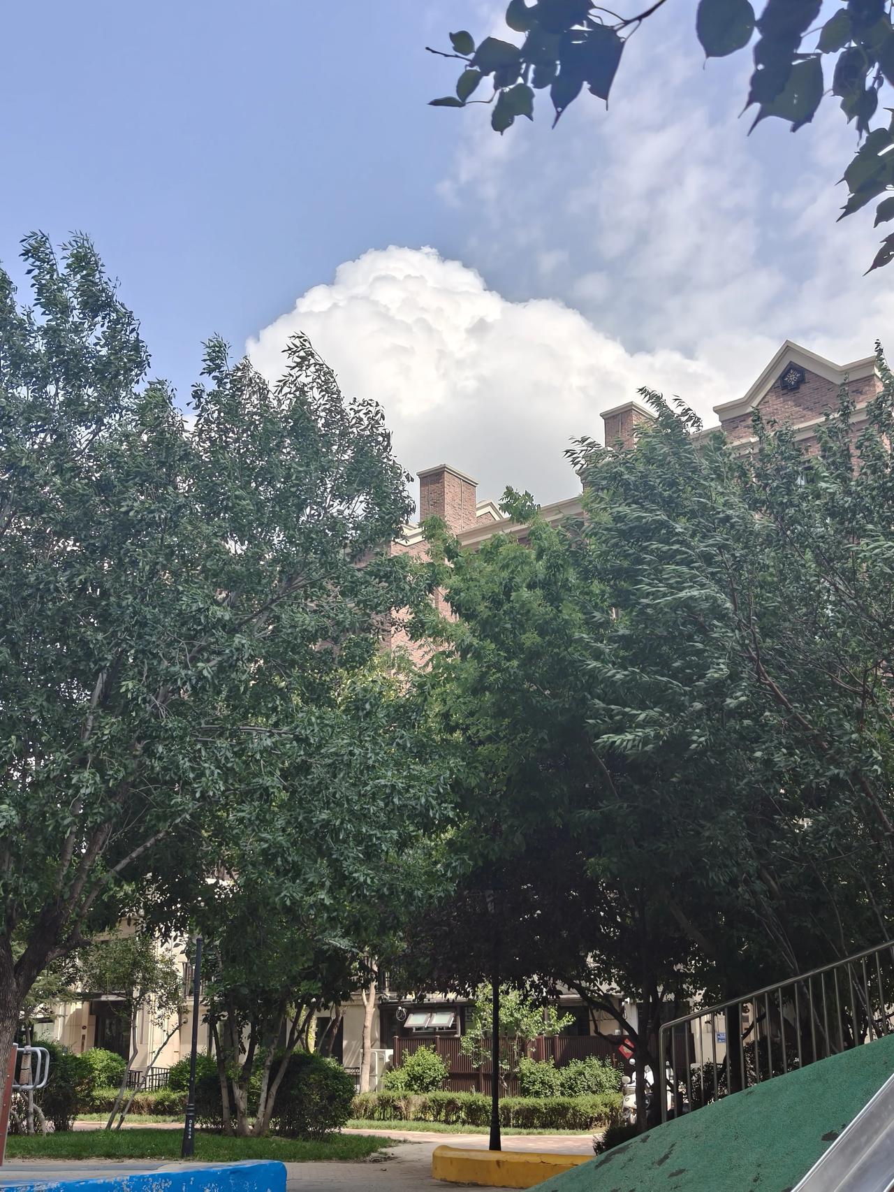 为什么现在很多学生都在补课补课，肯定是为了学习。不然呢？为了抢占一个好分数。