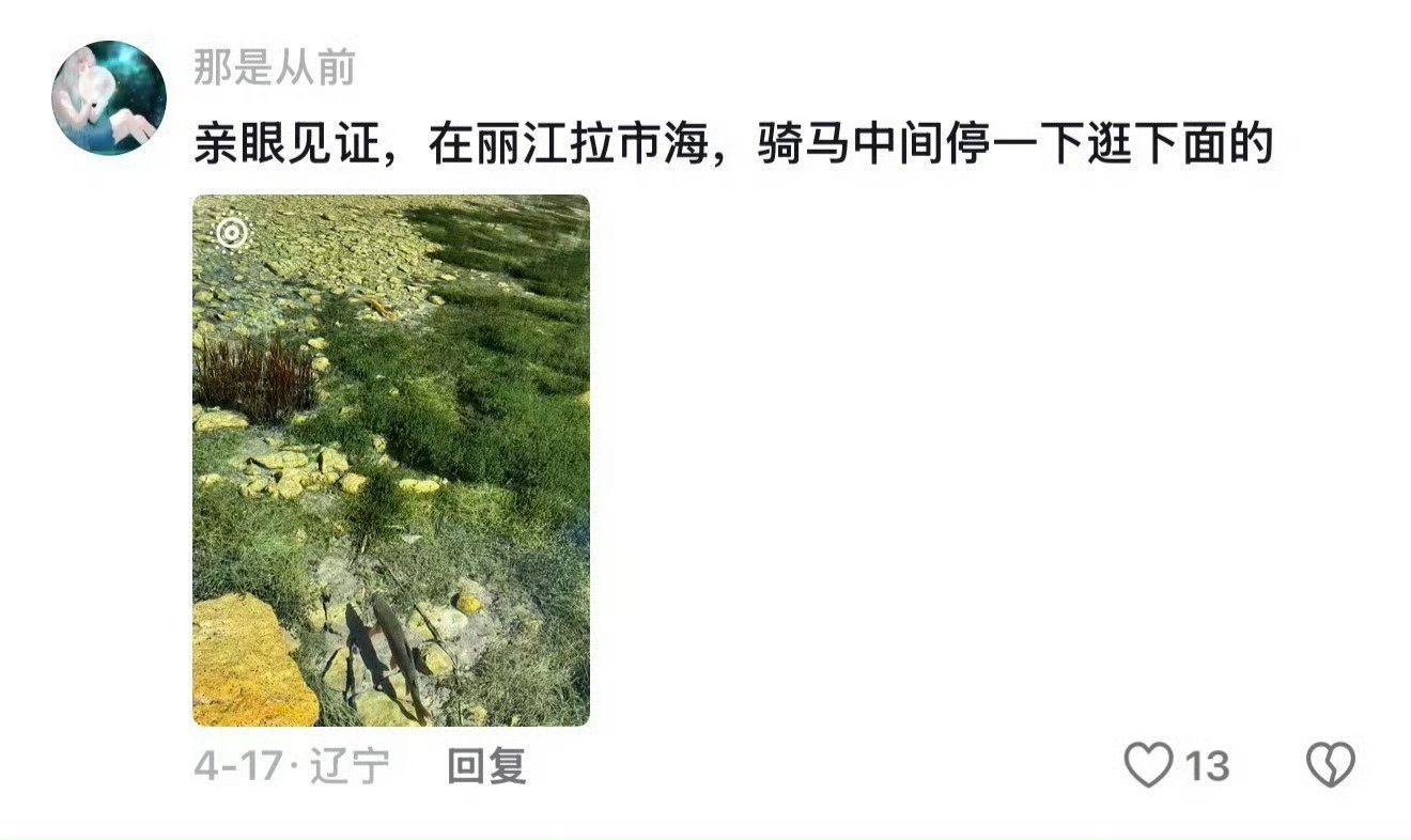 以为老祖宗写诗是想象结果是写实走遍各地风光才恍然大悟，古人笔下的唯美景致，全部取