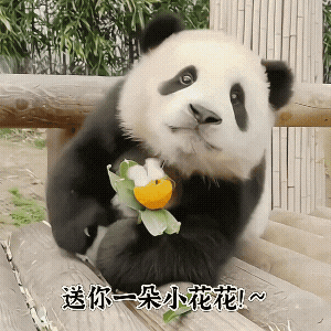如果是正常官宣的剧 王星越和卢昱晓番位应该怎么定？ 