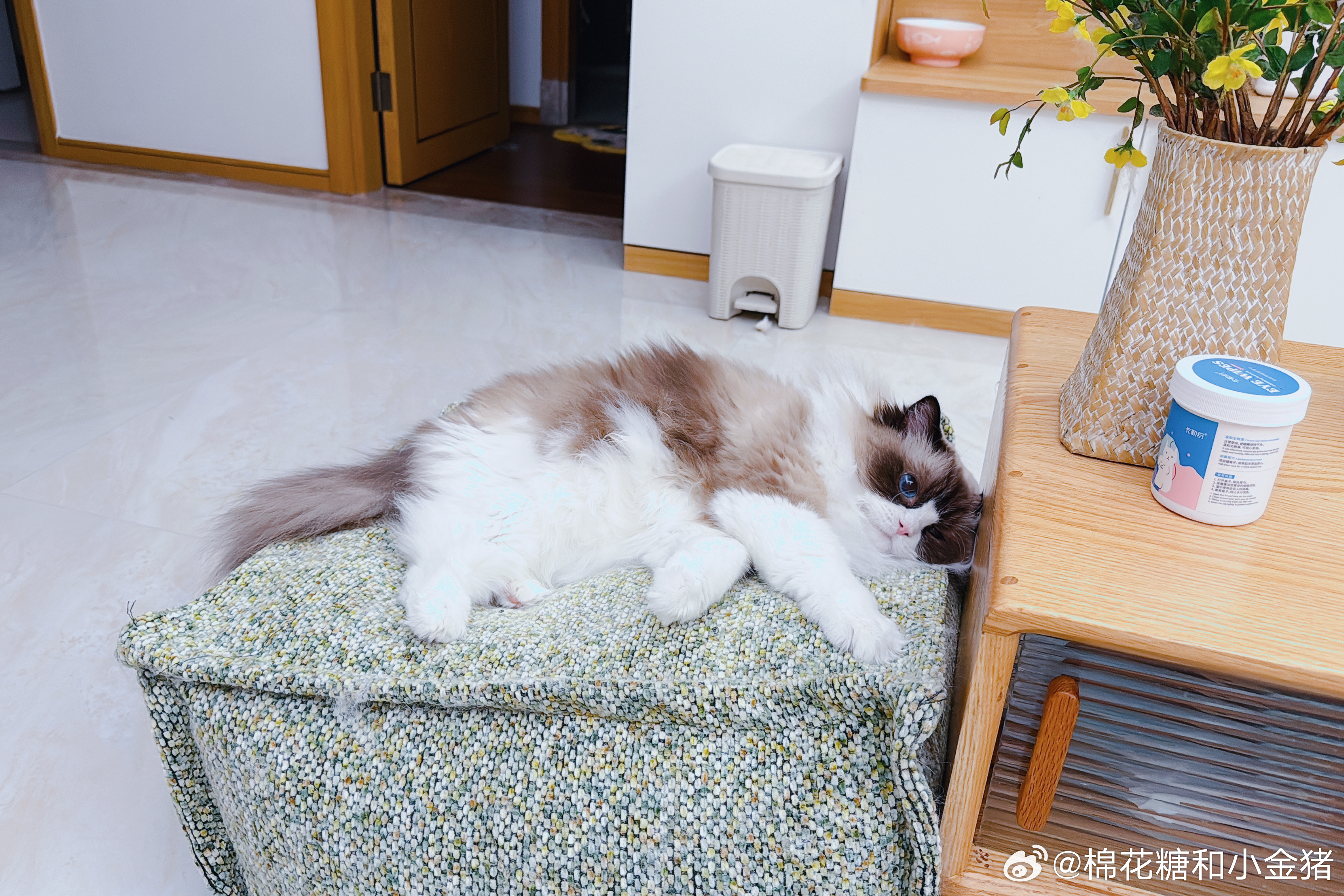 王翡已经粘在这个上面了。 