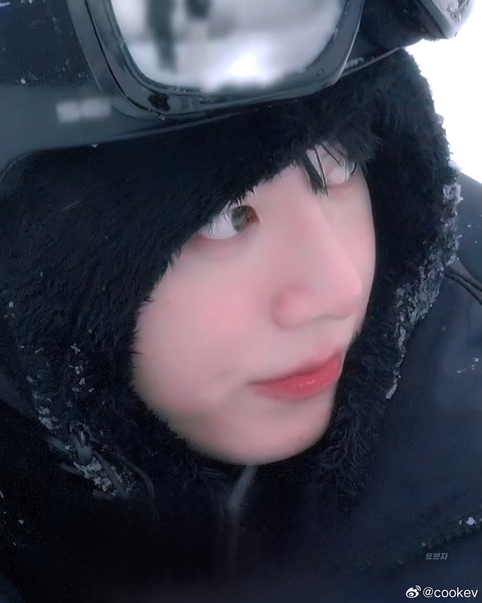 专注这头猪，另外一头猪看得我心烦。粉丝也神经