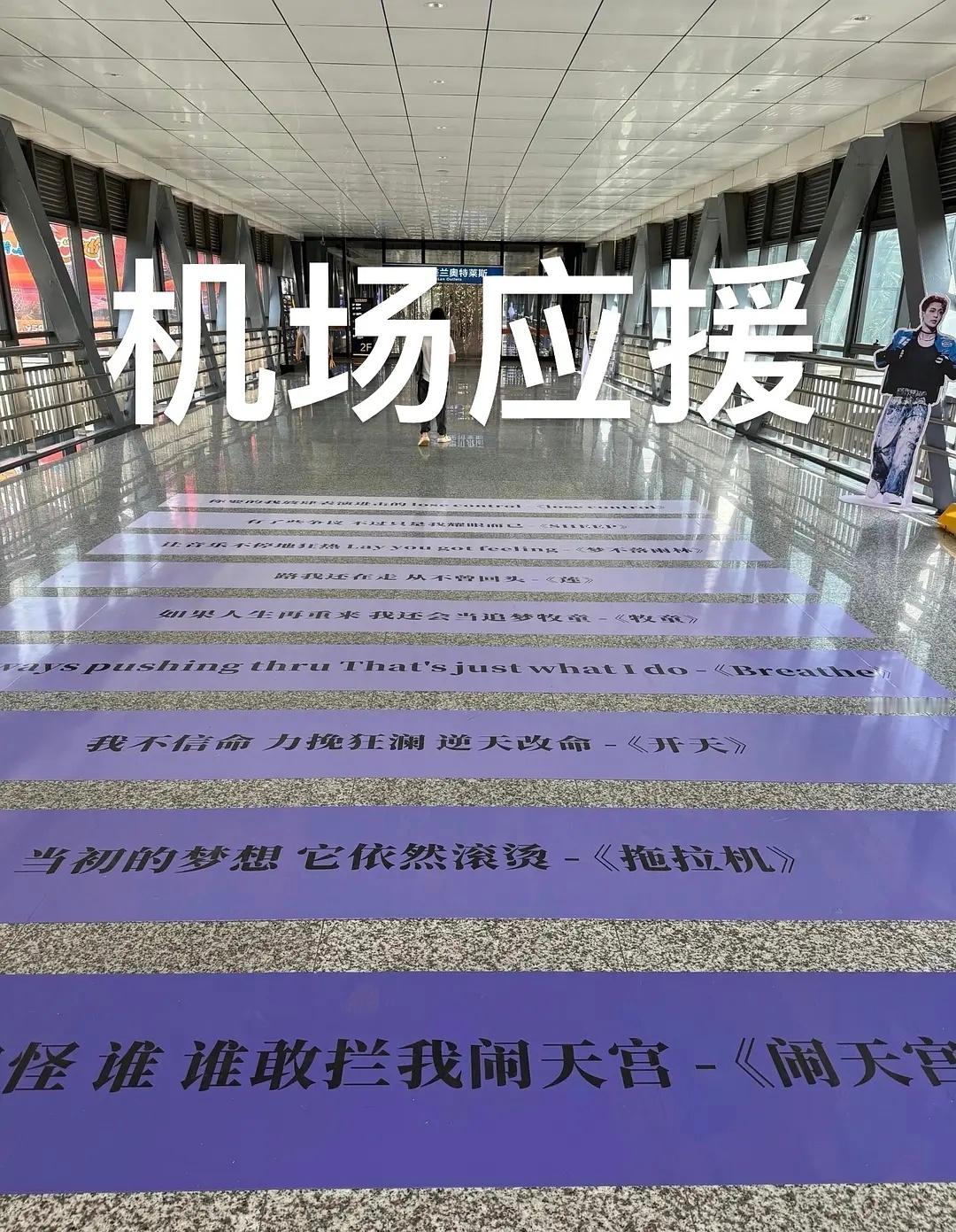 海口已经成为巨大的张艺兴痛楼，巨星排面看着好爽啊，期待演唱会 ​​​