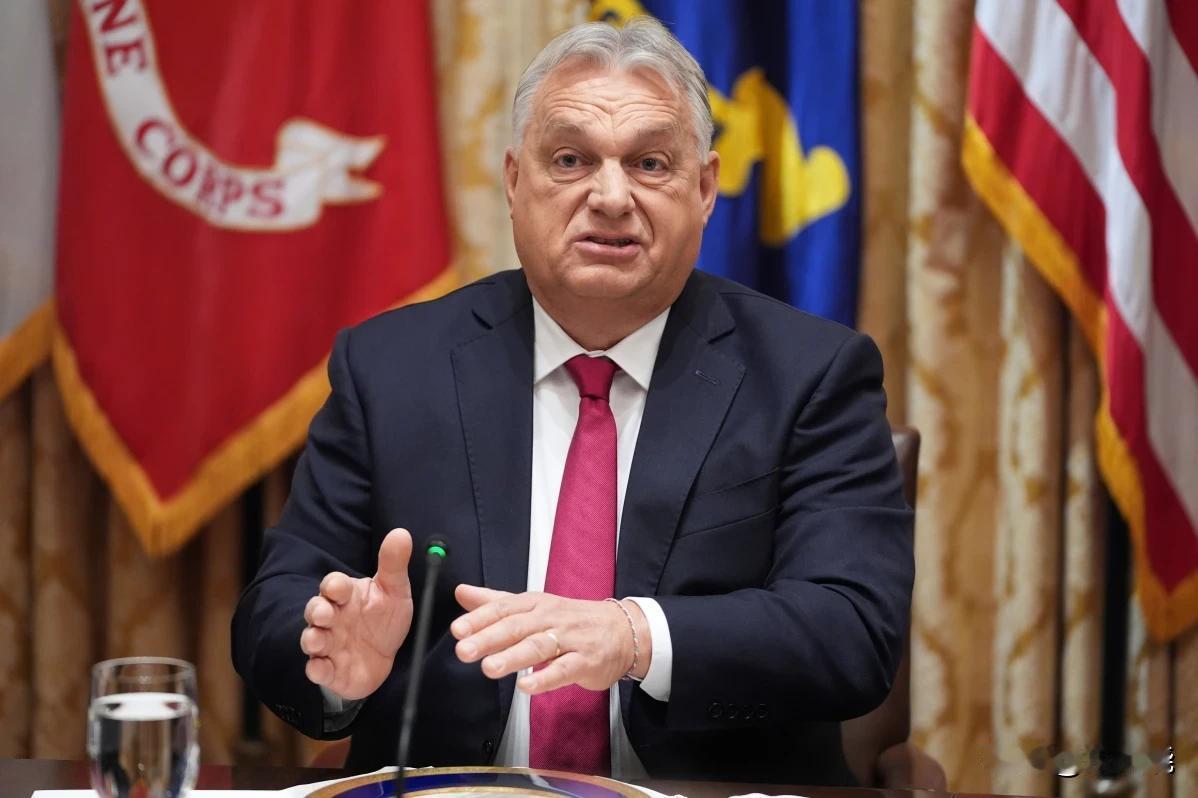 匈牙利和斯洛伐克反对欧盟主席冯德莱恩计划，即永久冻结俄罗斯在欧洲资产，作为抵押提