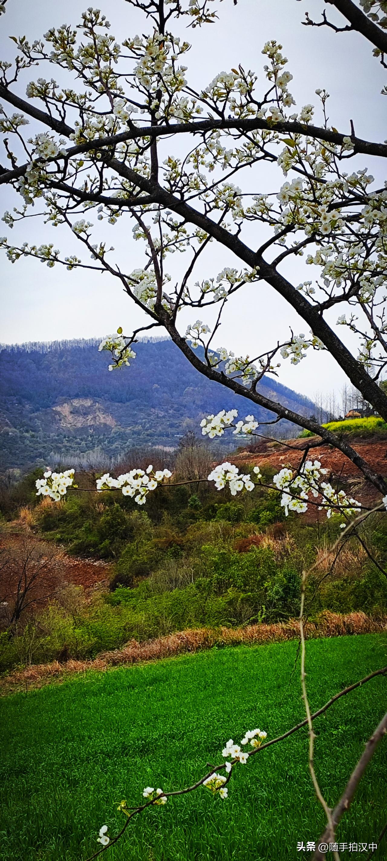 春分，“分”的是什么？“分”的是春季，取义“半”。在春天播种希望，待秋日收获幸福