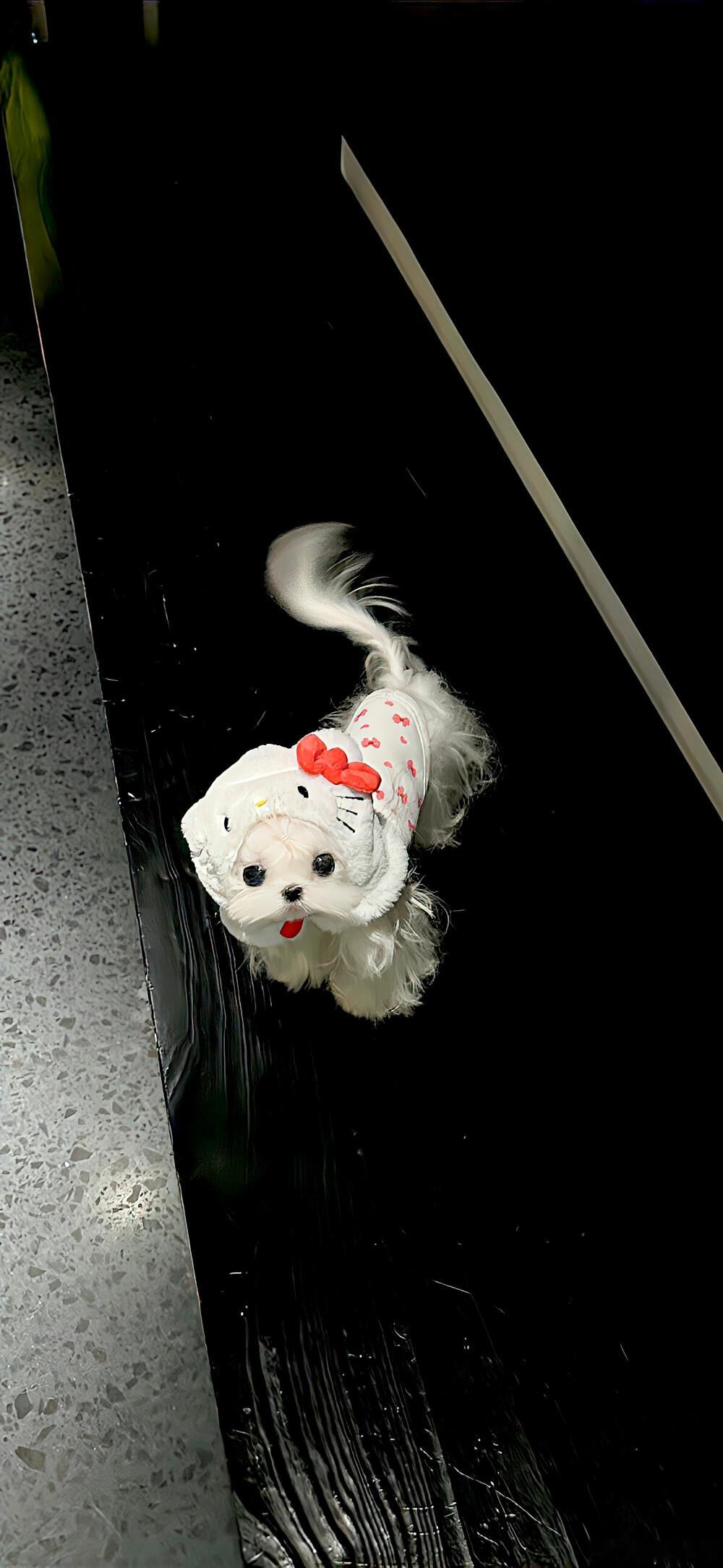 别被摩羯座板正的表象骗了，私底下的TA可能是个冷笑话大王或重度宅男/宅女。卸下防