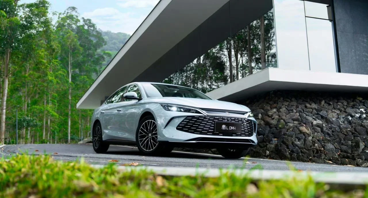 好家伙，秦L这下让加油站都快要哭了！
我不禁想问一句
到底油耗多少才算省啊？
明...