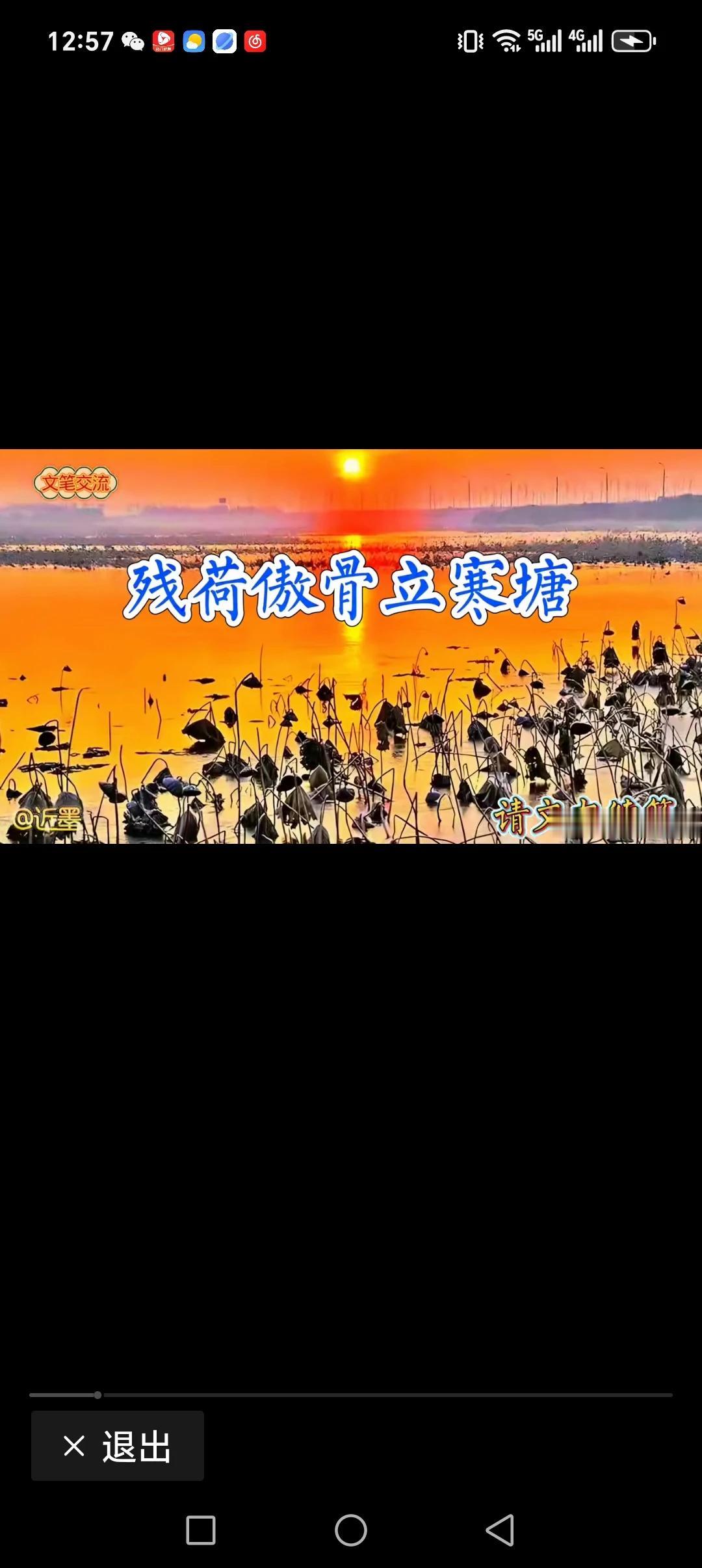 残荷傲骨立寒塘，
败柳倔强舞冷风