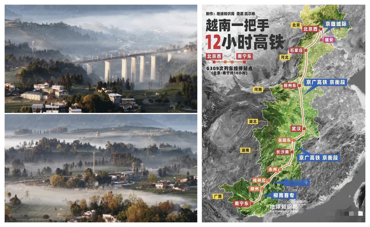 ✨苏林回去之后也破防了✨

🐼 苏林知道中国比越南先进，但是，乘坐中国高铁从北