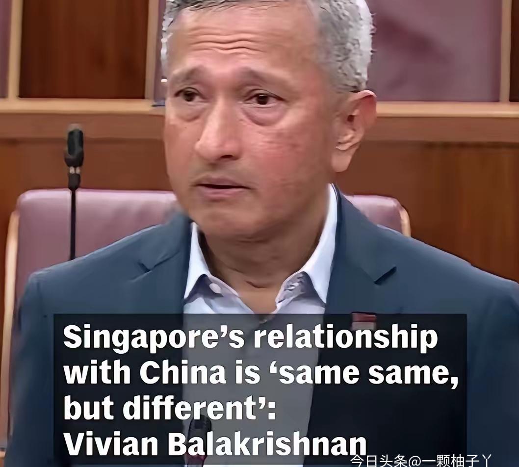 新加坡外长维文在国会预算辩论上，用接地气的大白话讲清了小国生存哲学。
现在国际局