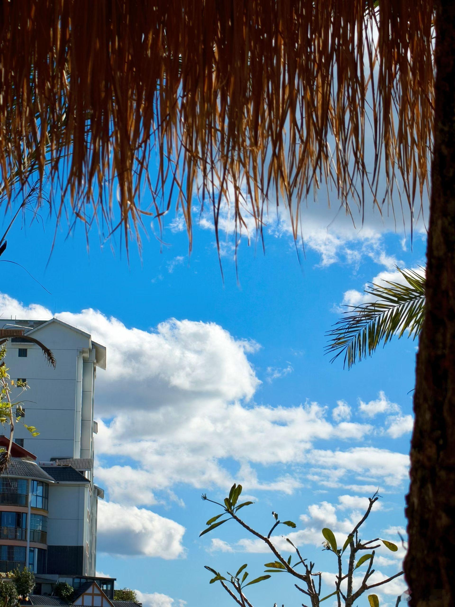 白云苍狗，碧空长风。 