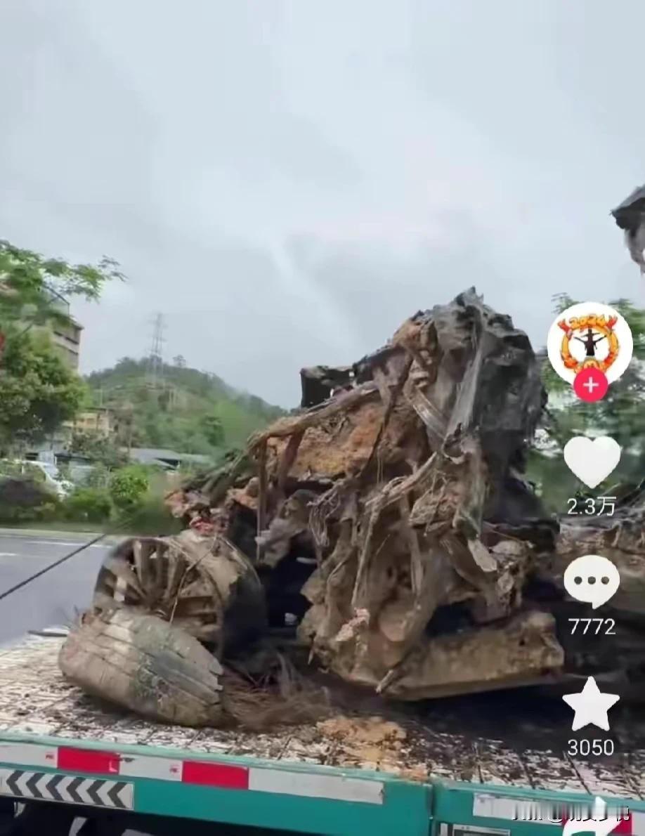 广东高速死亡人数已上升至48人，还有3人DNA待确认，30人在急救，3人等待DN
