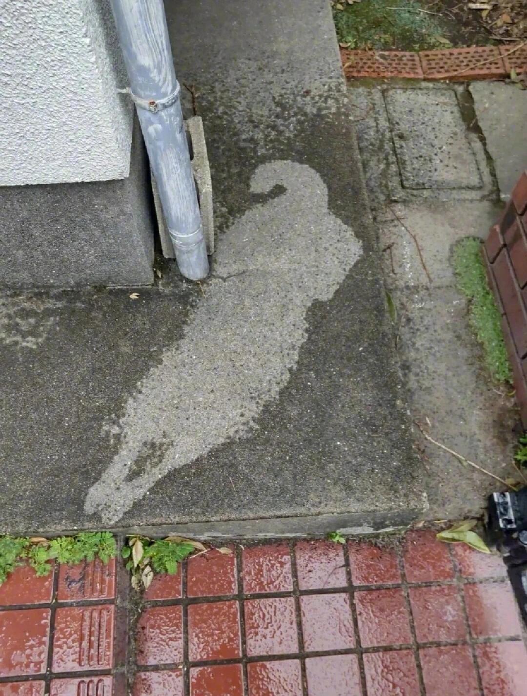 千万不要往窗户外倒水 ​​​