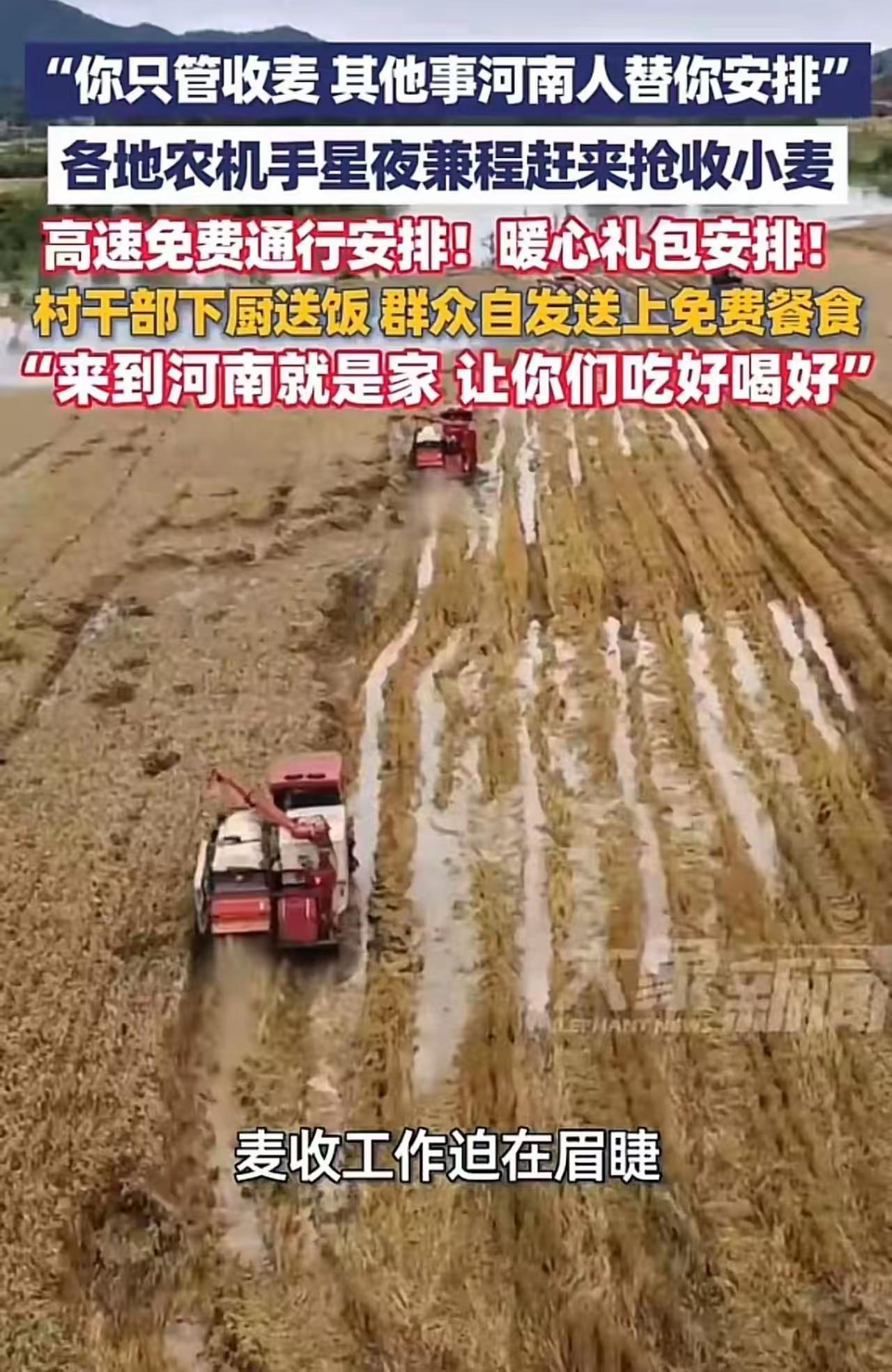 湖北“割四赔五”还没凉透，河南老乡的免费饭菜就端上来了：这就是差距！

前脚湖北