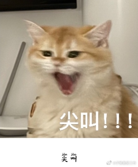 我要发癫了！！！真的好好看！！！