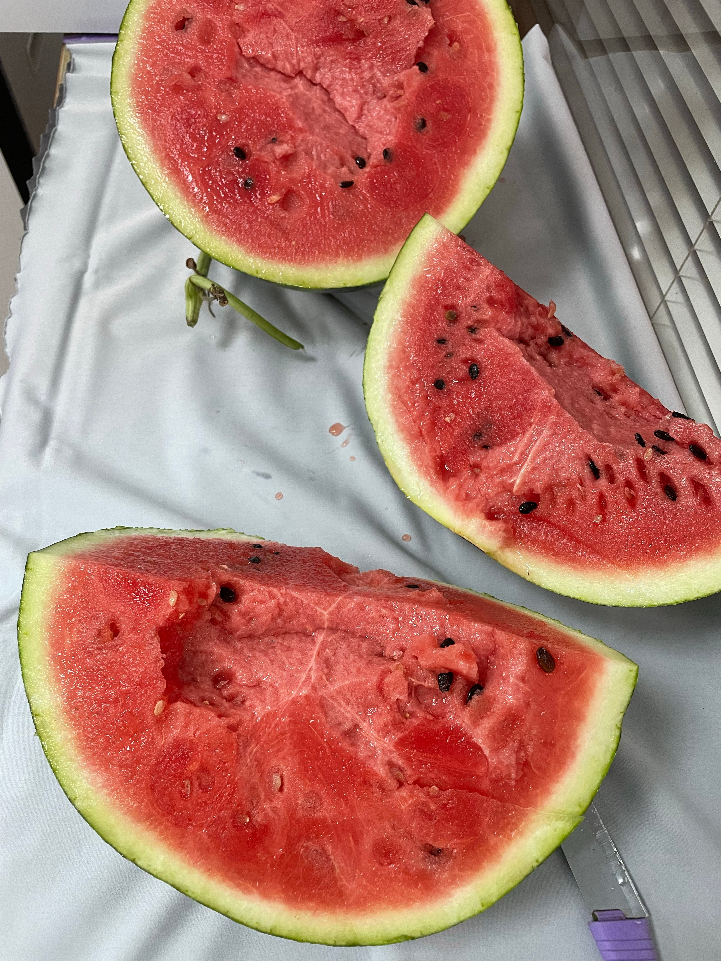分🍉吃 同事带的大西瓜 好甜 我最爱吃刚切不放冰箱的西瓜 