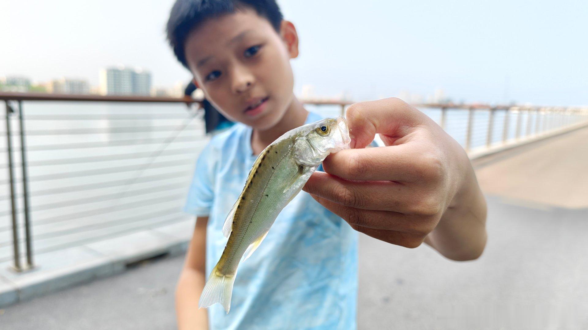 今天奋战了一早晨加一下午，跑了5条，终于中了这一条，这回更不想走了…… 秦皇岛