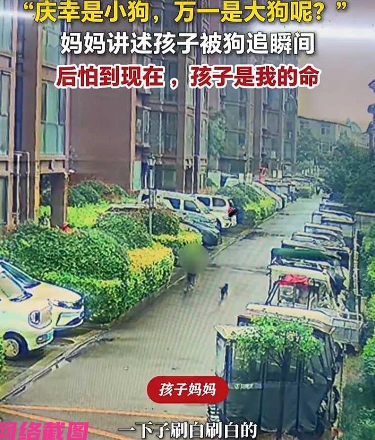 河南周口有妈妈接自己的孩子放学回家，在一起下车后，谁知还遇到一只没有栓绳子的小狗
