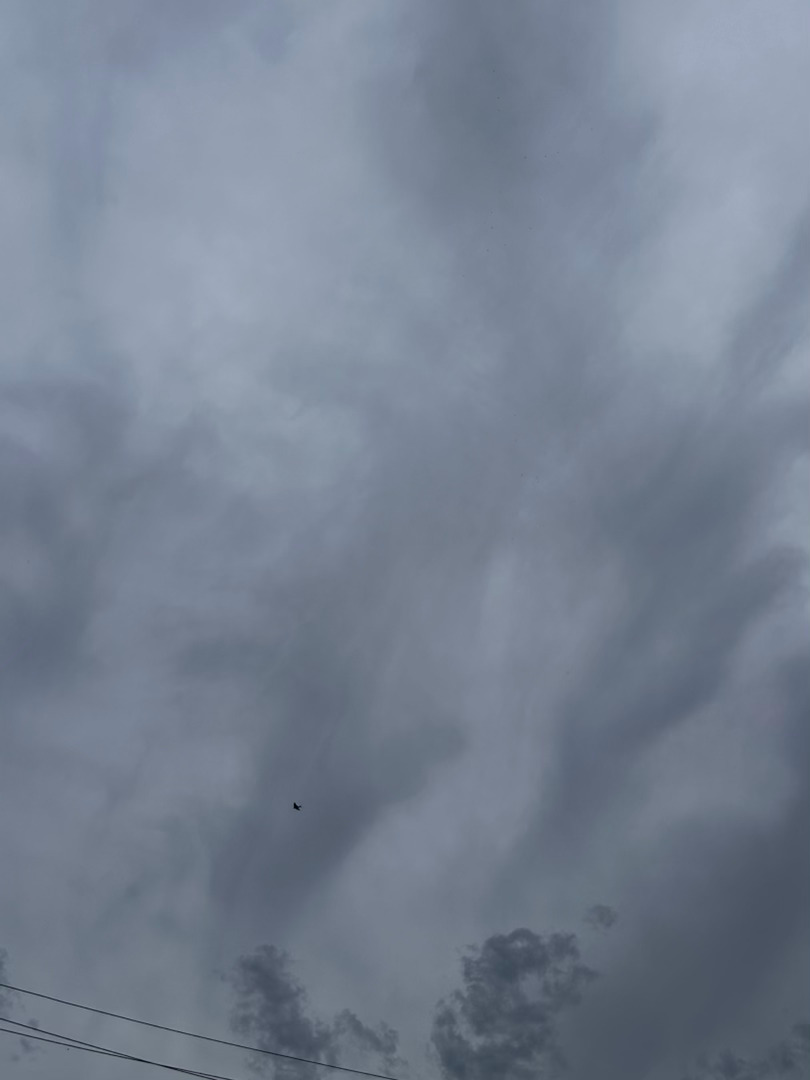 暴风雨前的宁静 
