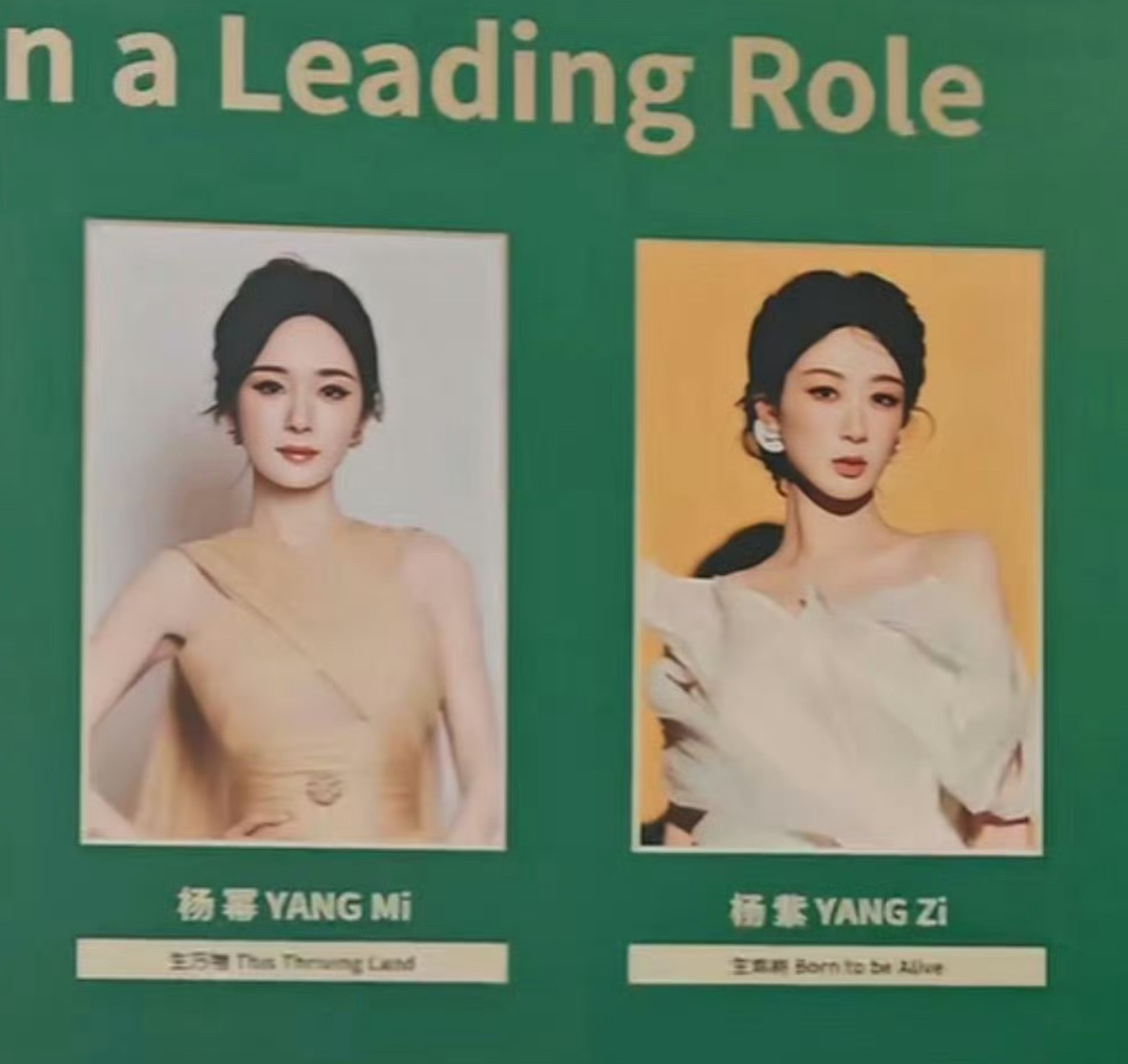 两大当红顶流花提名白玉兰女主角公式照：杨幂 杨紫长红不衰，经典爆款作品无数，她们