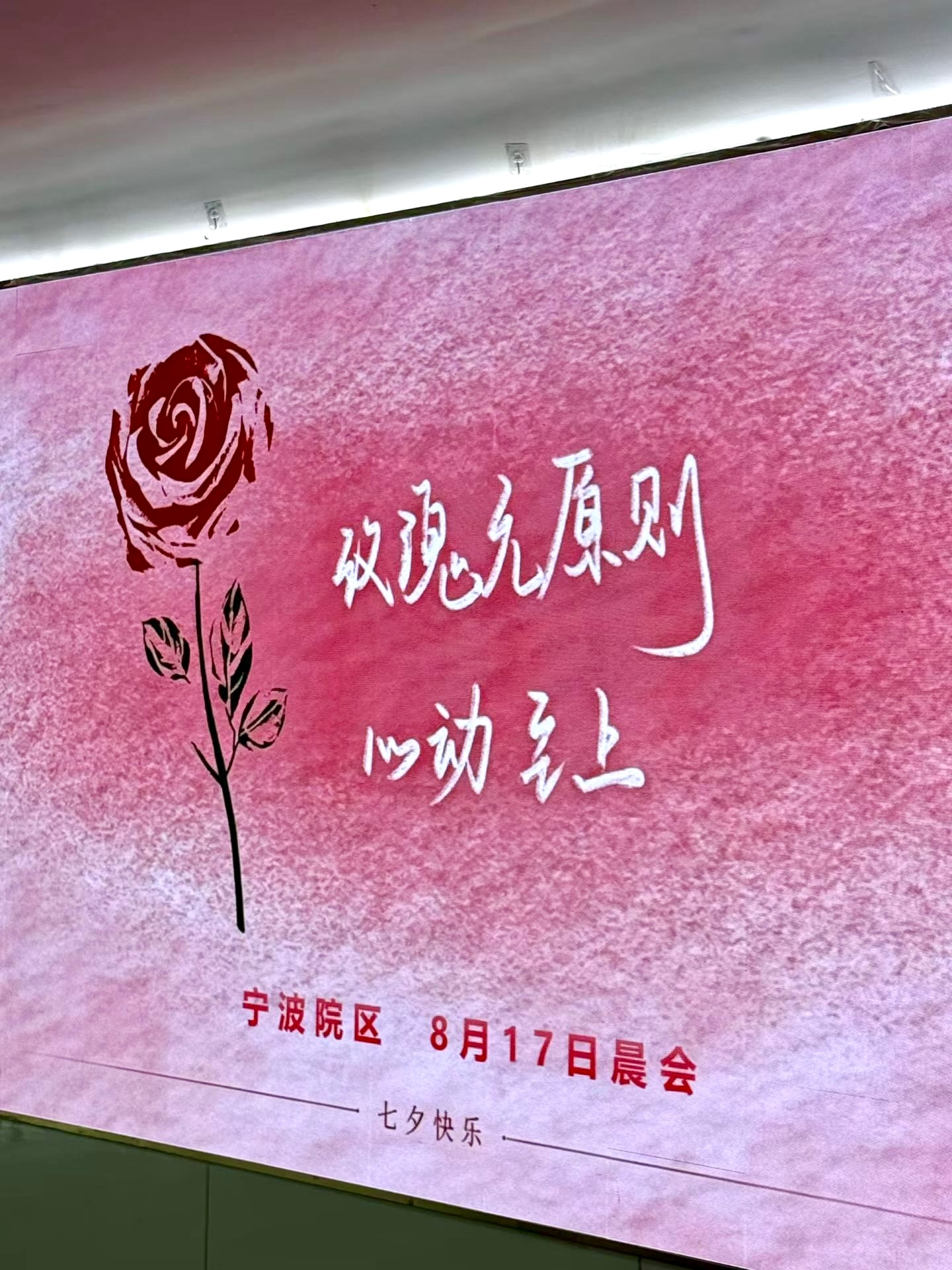 哈哈哈哈哈开晨会，虽然我本人浪漫过敏但公司给的仪式感还是很足