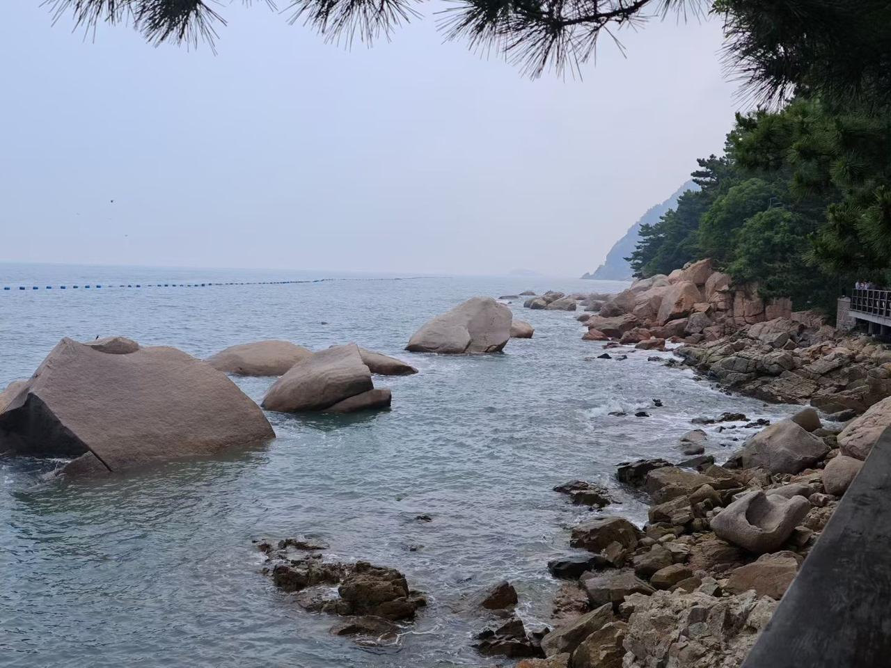 看到邻居为了离婚的女儿和外孙女，把房子重新装修了，心里真是好羡慕。

真是生女儿