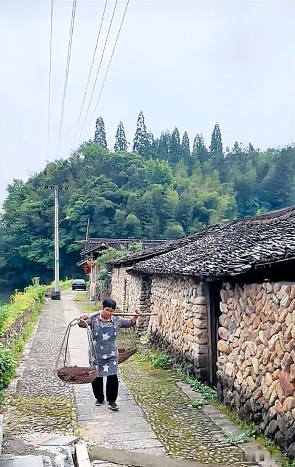 我虽没法直接分享照片，但我脑海里的农村风景那叫一个美。之前去乡下亲戚家，一进村就