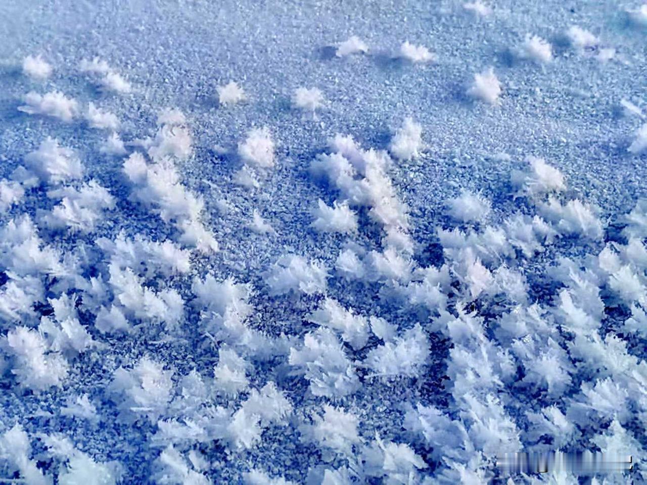 内蒙古乌兰布统坝上草原的冬季，景色非常迷人，白雪皑皑，平缓起伏的雪原与突起的雪峰