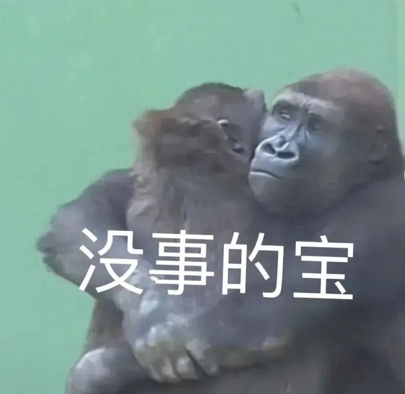 大学生爱发的抽象表情包 