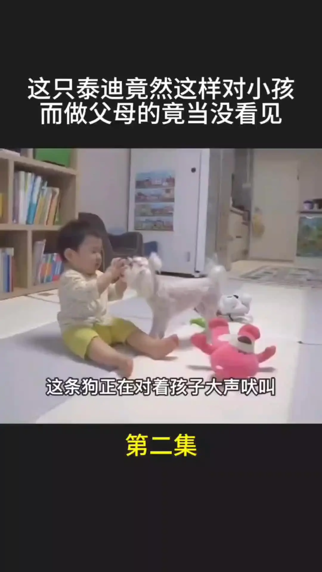我的观影报告