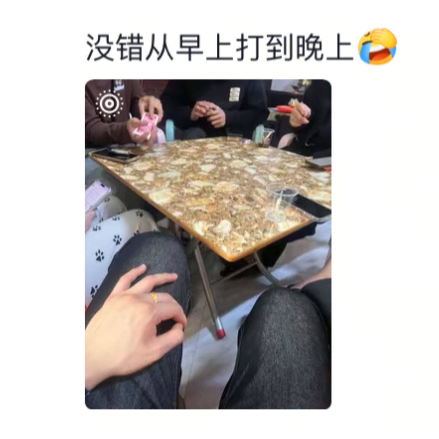 南方人不看春晚的原因