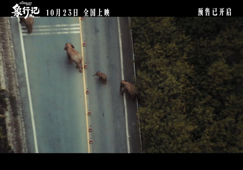 逛城哥阿宝逛上大银幕了电影象行记预售开启逛城哥阿宝来影院啦，曾经在普洱城区散步，