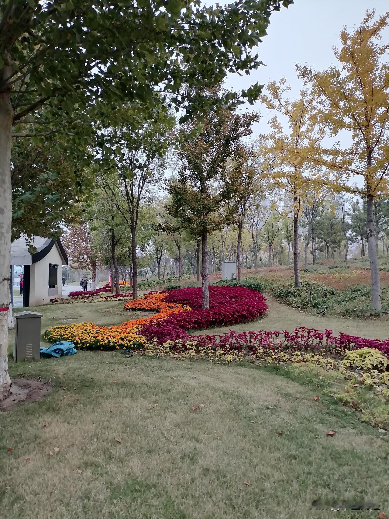 此时此景，此时此刻！