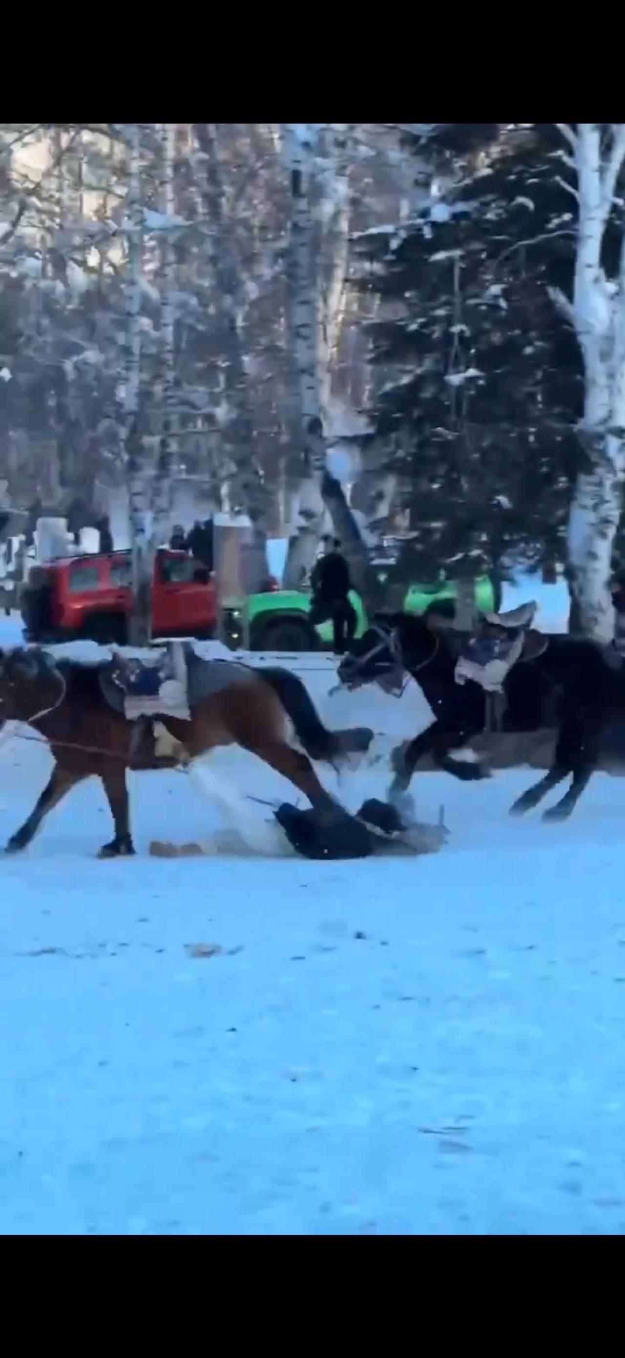 红袍女局长坠马身亡：是“作秀”还是“拼命”？这结局真的看哭我了！

家人们，那个